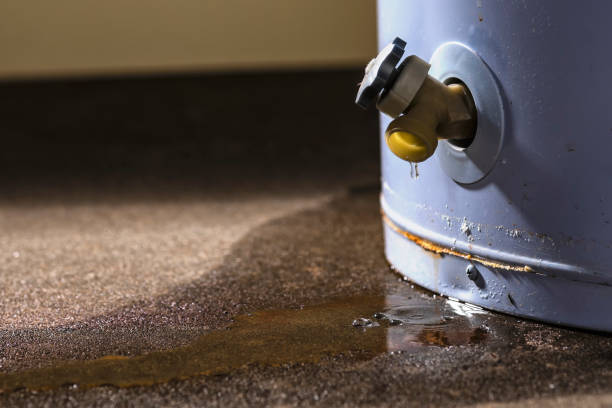 Best Ceiling water damage repair  in Kensington, MD