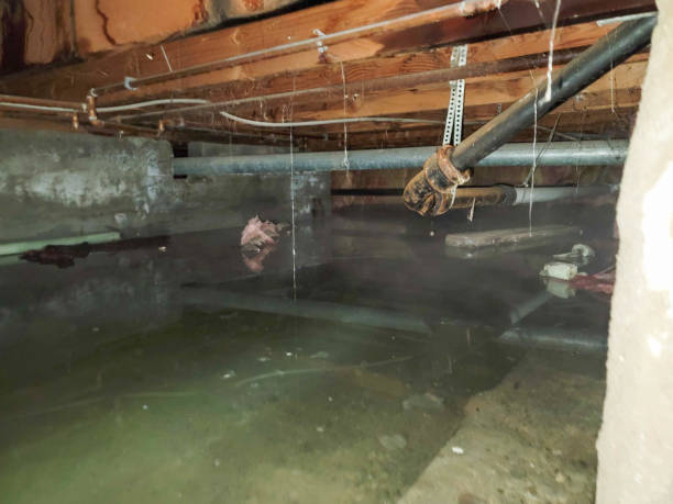 Best Commercial water damage restoration  in Kensington, MD