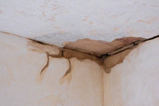 Best Water damage restoration near me  in Kensington, MD
