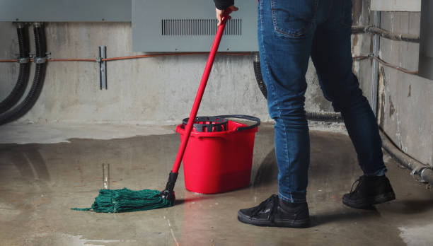 Best 24-hour water damage restoration  in Kensington, MD