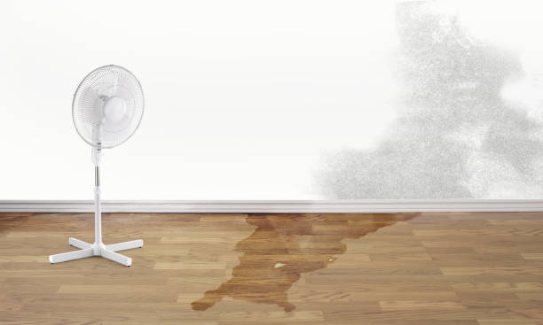 Best Local water damage restoration  in Kensington, MD