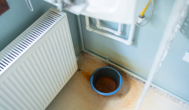 Best Flood restoration services  in Kensington, MD