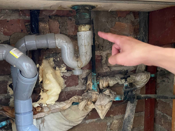 Best Flood damage cleanup  in Kensington, MD