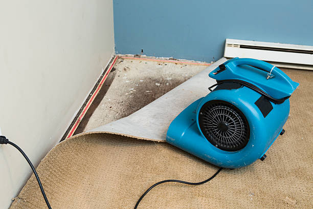 Best Water damage restoration process  in Kensington, MD